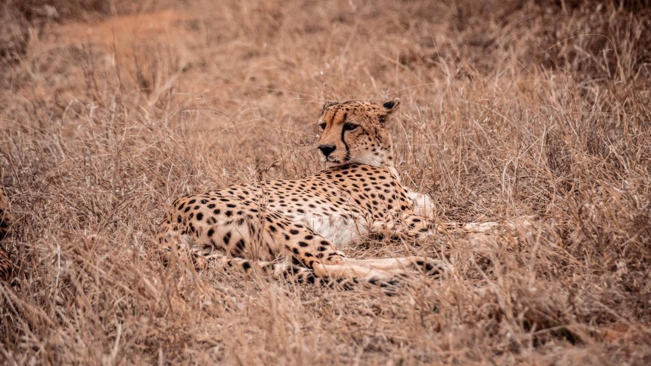 Tshukudu Game Lodge Hoedspruit Esterno foto