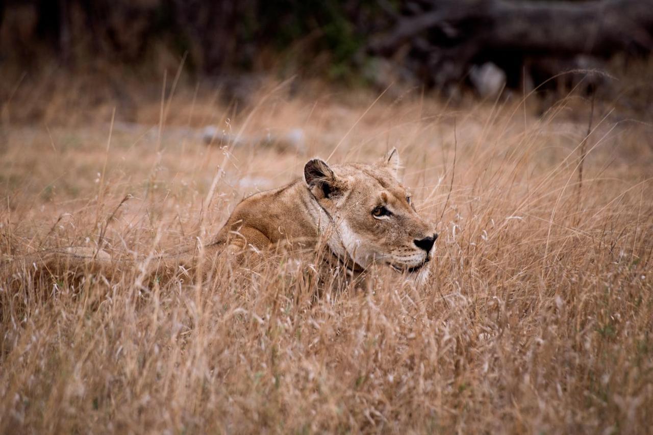 Tshukudu Game Lodge Hoedspruit Esterno foto